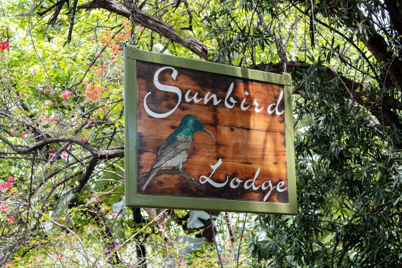 Sunbird Lodge Phalaborwa Ngoại thất bức ảnh