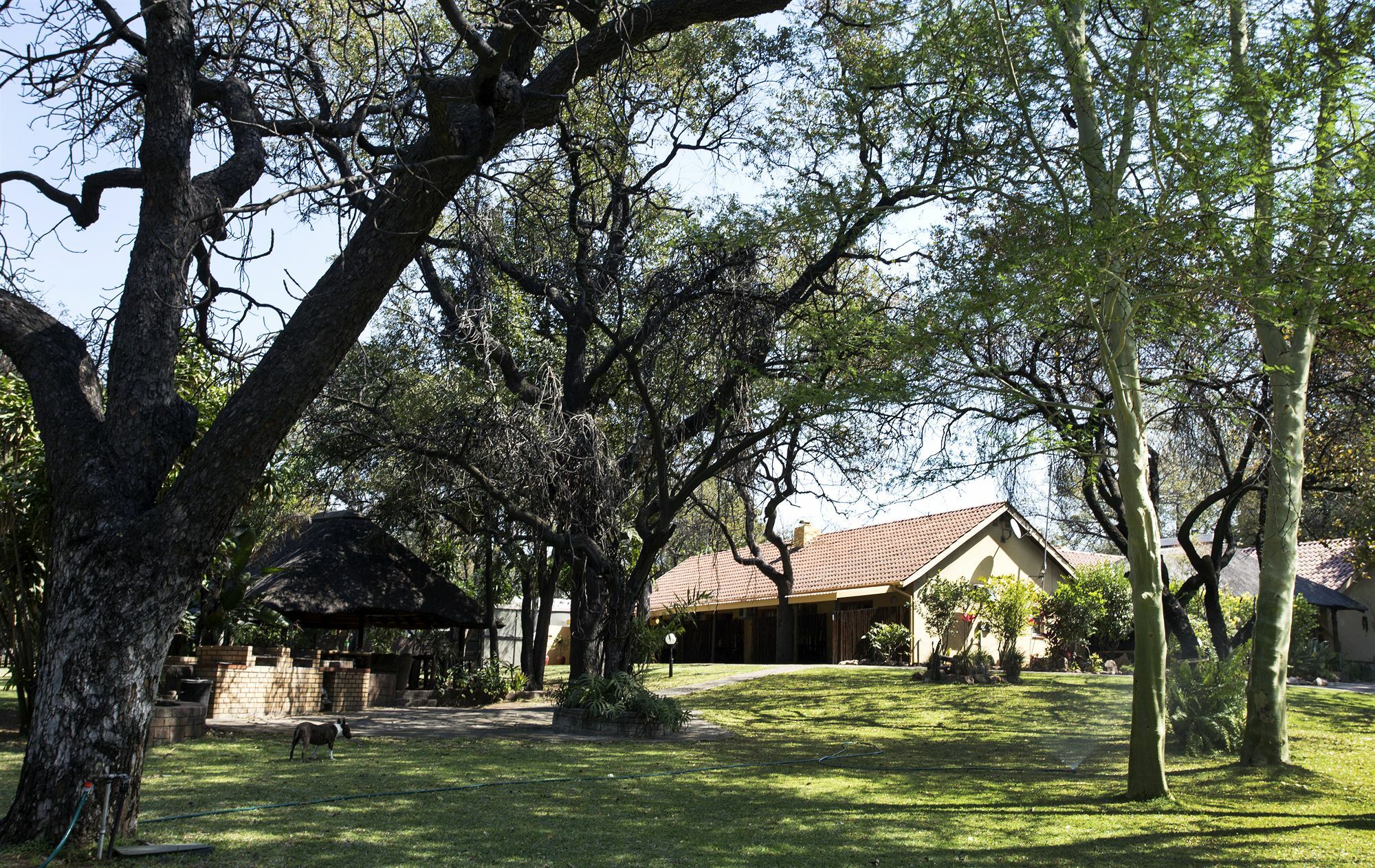 Sunbird Lodge Phalaborwa Ngoại thất bức ảnh
